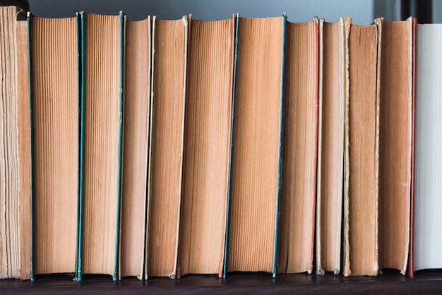 Pila de libros en una librería