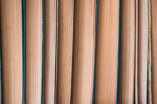 Pila de libros en una librería