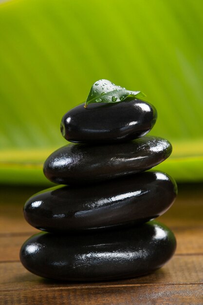 Pila de piedras de cantos rodados con la hoja verde