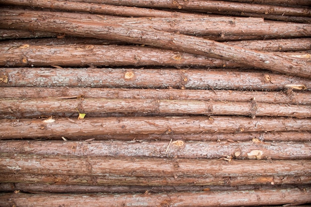 Pila de ramitas de madera