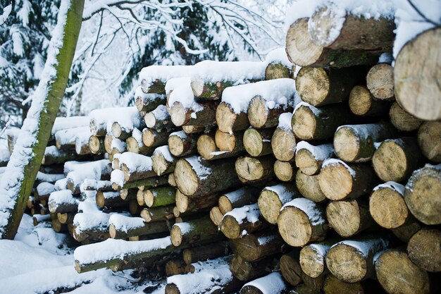 Pila de trozos de madera cubiertos de nieve Invierno