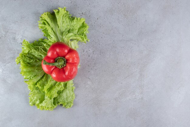 Pimiento rojo fresco con lechuga sobre un fondo gris. Foto de alta calidad