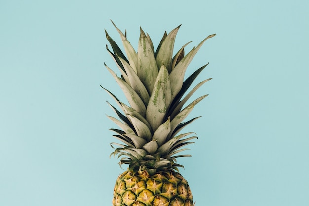 Piña sobre fondo azul