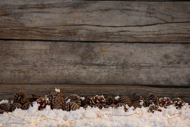 Piñas sobre nieve falsa