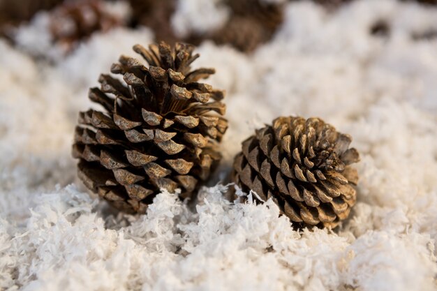 Piñas sobre nieve falsa