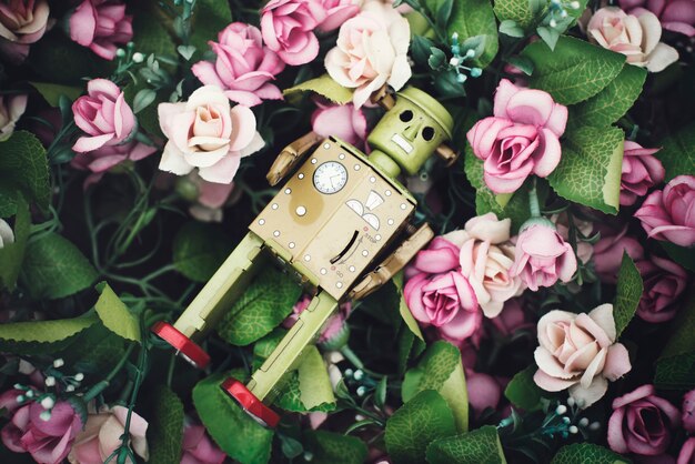 Pink Rose Decoration Robot Concept