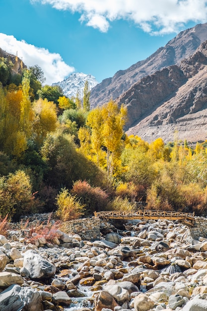 pino, puente en otoño y montaña en Leh Ladakh, India