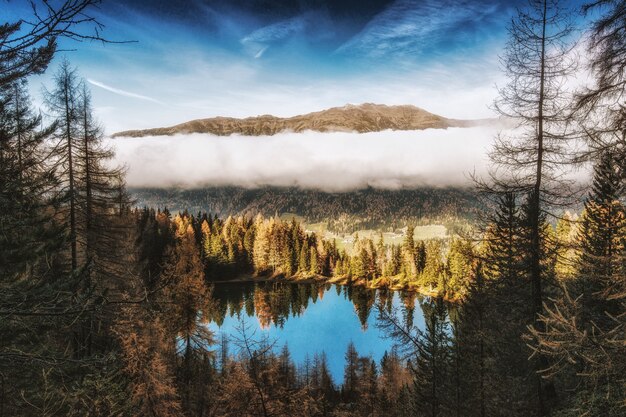 Pinos al lado del cuerpo de agua cerca de la montaña bajo nubes blancas