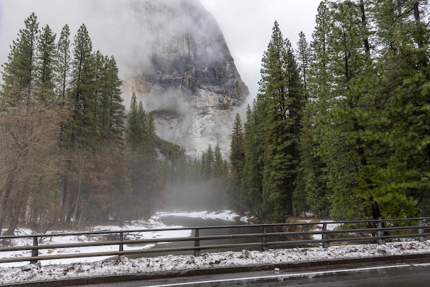 Pinos y río en un día brumoso en el Parque Nacional Yosemite