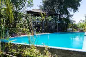 Foto gratuita piscina de agua azul y jardín tropical con fondo de vista al mar.