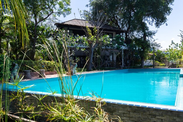 Piscina de agua azul y jardín tropical con fondo de vista al mar.