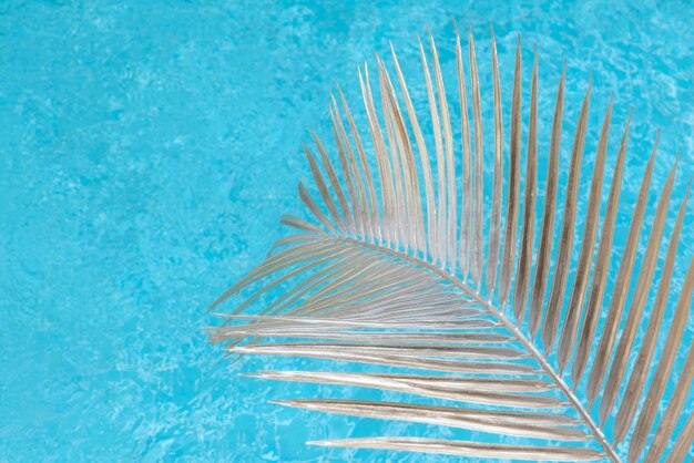 Piscina con hoja de palmera en la luz del sol