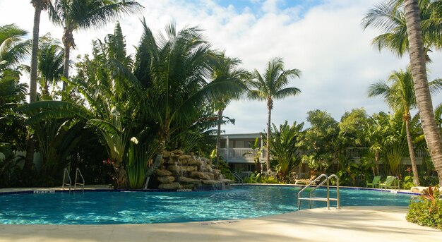 piscina rodeada de palmeras cerca de un hotel