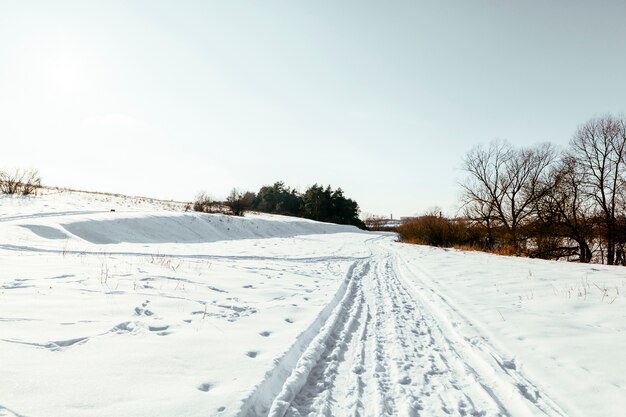 Pistas de esquí de fondo en el paisaje nevado en invierno