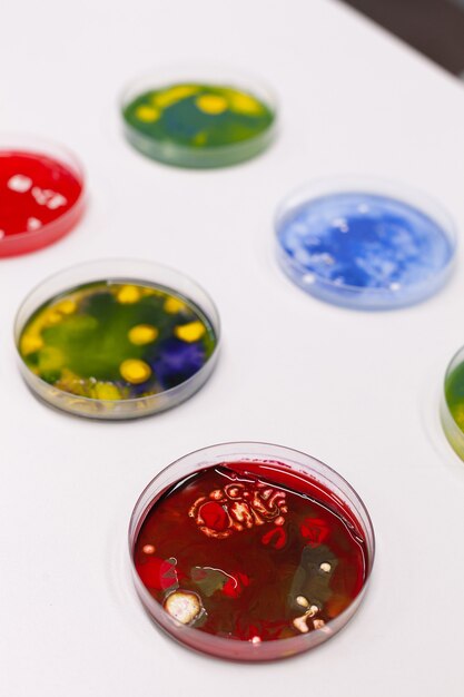Placa de Petri con colonia de microorganismos de pie sobre la mesa