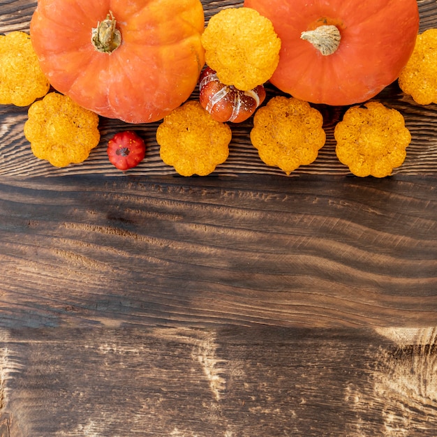 Plana pone calabazas coloridas con espacio de copia