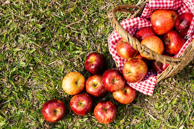 Foto gratuita plana pone deliciosas manzanas rojas en cesta de paja