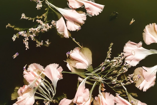 Foto gratuita plana pone flores de color rosa pálido en agua negra