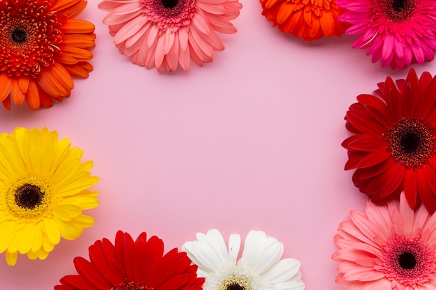 Plana pone flores de gerbera con copia espacio de fondo