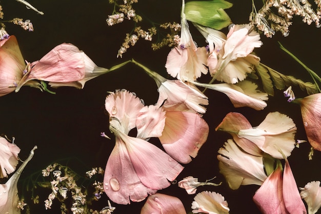 Plana pone hermosas flores rosas en agua negra