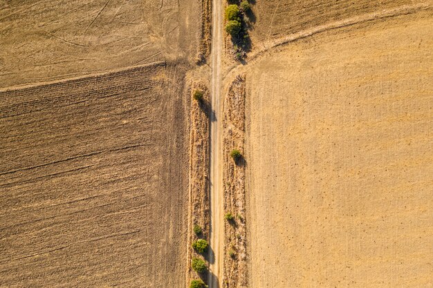 Plana puesta seca cultivos de otoño tomadas por drone