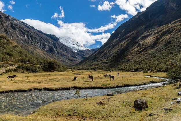 Plano amplio de un campo con animales comiendo rodeado de montañas y un arroyo con un cielo azul