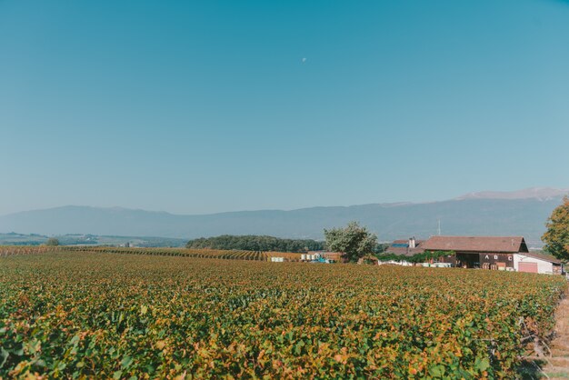 Plano amplio de un campo tranquilo con una casa y un cielo azul claro en Suiza