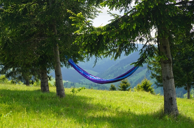 Plano amplio de una hamaca azul atada a dos árboles en una colina con una hermosa vista de la naturaleza