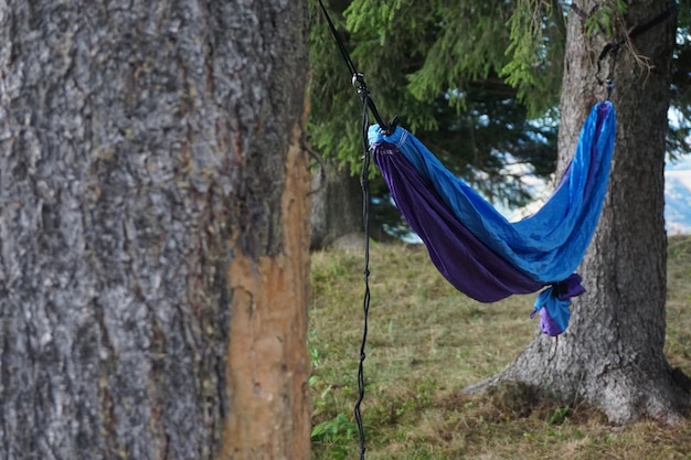 Plano amplio de una hamaca colgada entre dos árboles en un terreno herboso en una montaña