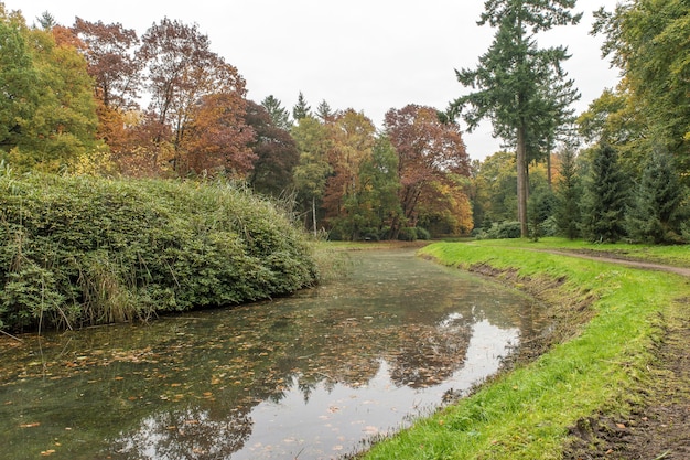 Plano amplio de un lago en un parque lleno de árboles en un día nublado