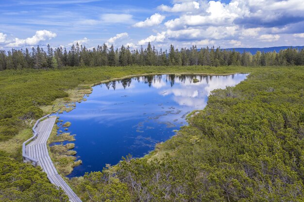 Plano amplio del lago Ribnica con un pequeño mirador en Eslovenia en un día nublado