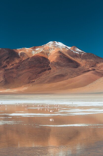 Plano amplio de una montaña y un cuerpo de agua en el desierto en un día soleado