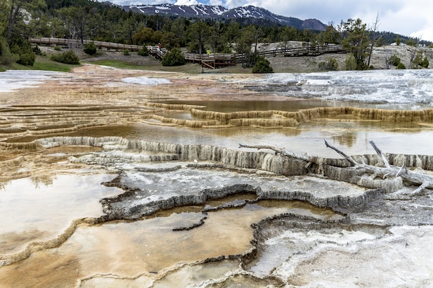 Foto gratuita plano amplio del parque nacional de yellowstone bajo un cielo nublado rodeado de vegetación y montañas