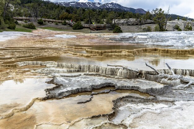 Plano amplio del parque nacional de Yellowstone bajo un cielo nublado rodeado de vegetación y montañas