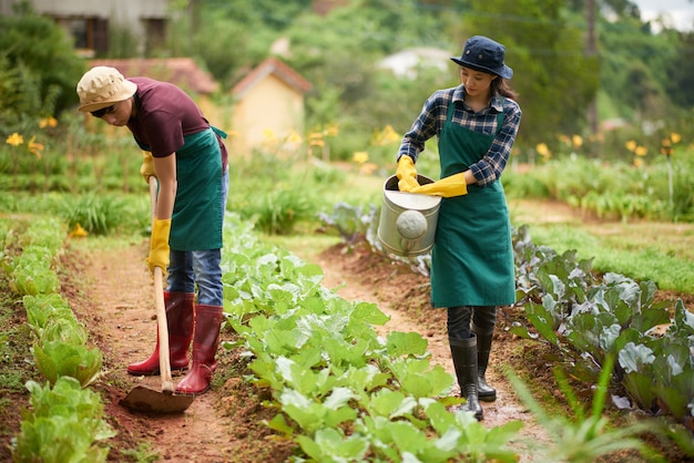 Plano completo de agricultores asiáticos que cultivan en la granja