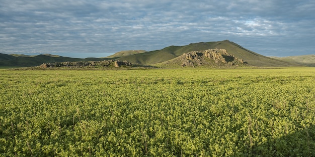 Foto gratuita plano general de un campo con plantas verdes y montañas en la distancia bajo un cielo azul nublado