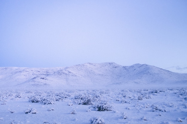 Plano general de una montaña cubierta de nieve