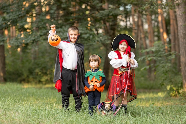 Foto gratuita plano general de niños con disfraces de halloween