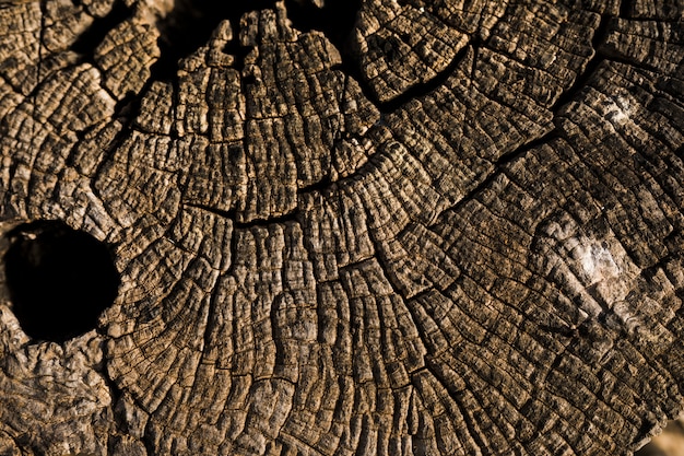 Foto gratuita plano macro de textura de madera marrón