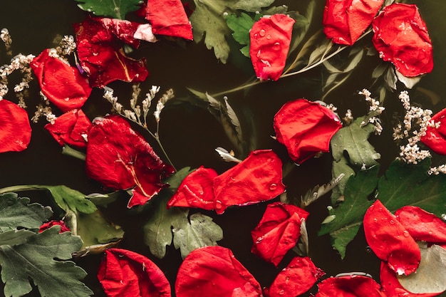 Plano pone pétalos rojos con hojas en agua negra