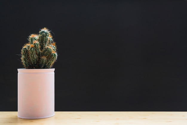 Planta de cactus en contenedor blanco en mesa contra fondo negro