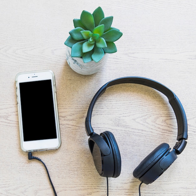 Planta de cactus; teléfono celular y auriculares en la planta de madera