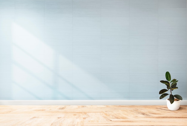 Planta contra un fondo de pared azul con espacio de copia