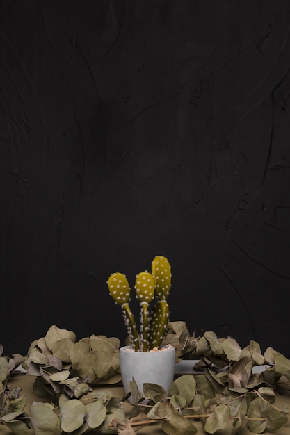 Foto gratuita planta decorativa dentro de jarrón minimalista