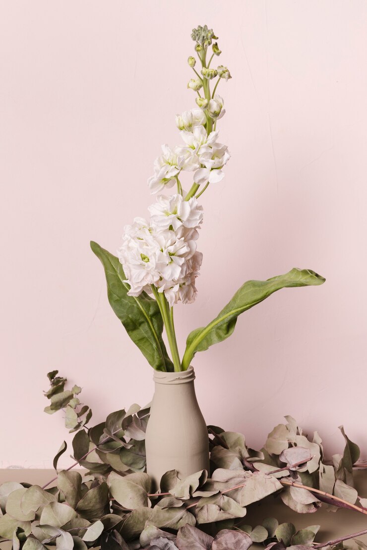 Foto gratuito planta decorativa dentro de un jarrón mínimo