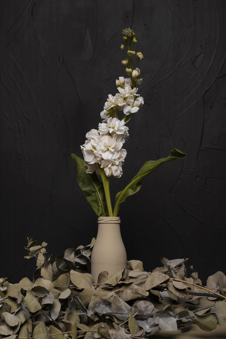 Foto gratuito planta decorativa dentro de un jarrón mínimo