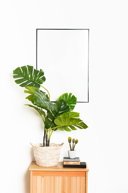 Foto gratuita planta decorativa con marco vacío