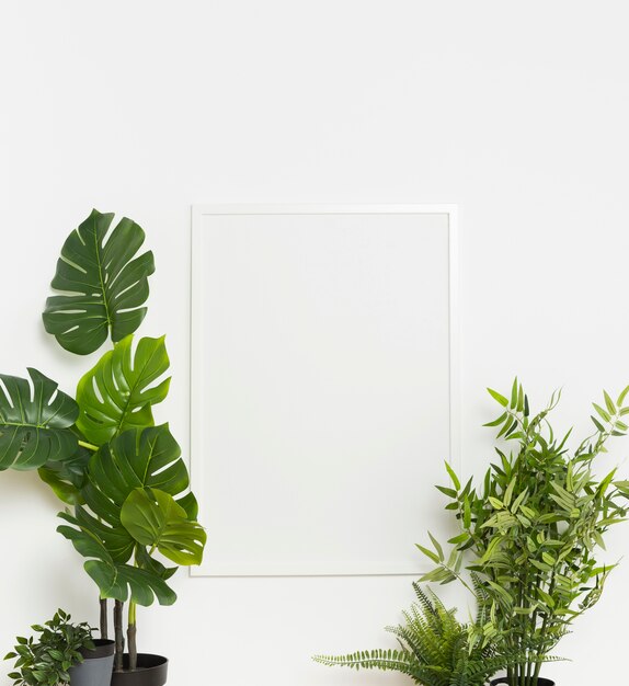 Planta decorativa con marco vacío