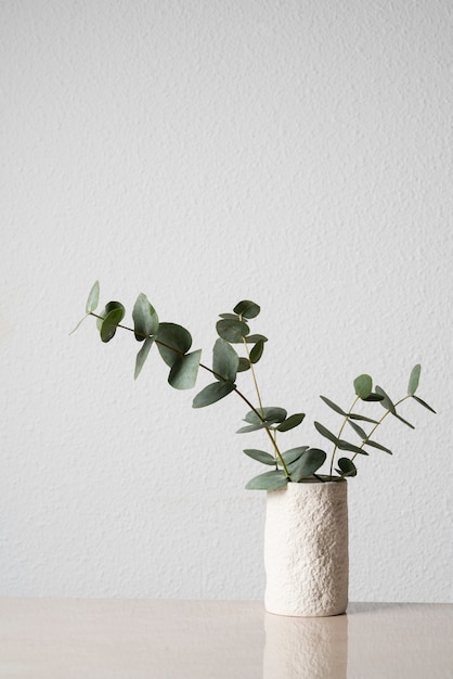 Planta de eucalipto en jarrón blanco sobre mesa