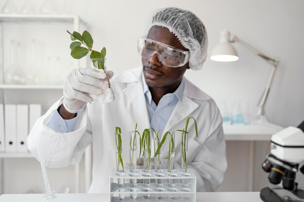 Planta de explotación de investigador de tiro medio
